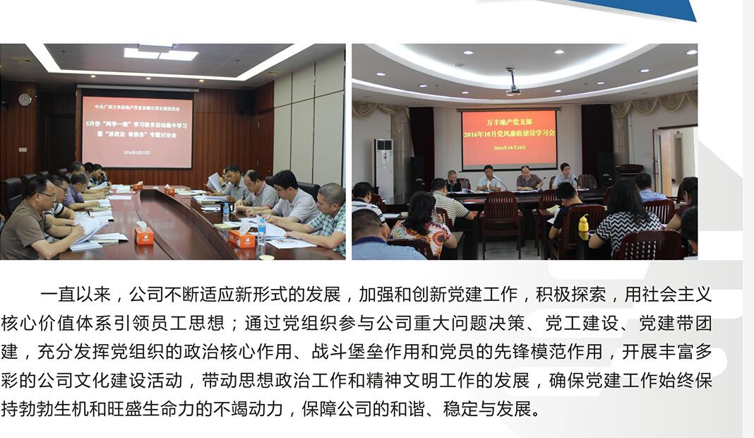 2016年10月萬(wàn)豐地產(chǎn)黨風(fēng)廉政建設學(xué)習會(huì )