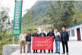 萬(wàn)豐地產(chǎn)資助馬山縣金釵鎮龍印村建成生態(tài)種養綜合示范園