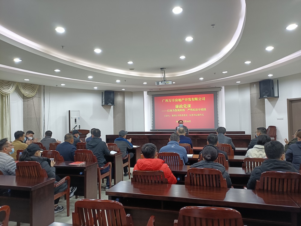 集團公司黨委委員、紀委書(shū)記謝丹義到萬(wàn)豐地產(chǎn)公司開(kāi)展廉政黨課專(zhuān)題講座暨春節前廉政集體談話(huà)